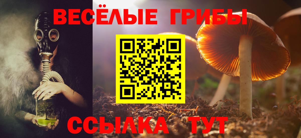 Псилоцибиновые грибы ЛСД Сухой Лог