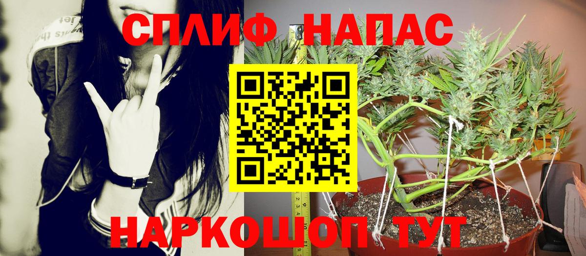 Бошки Шишки сатива Сухой Лог